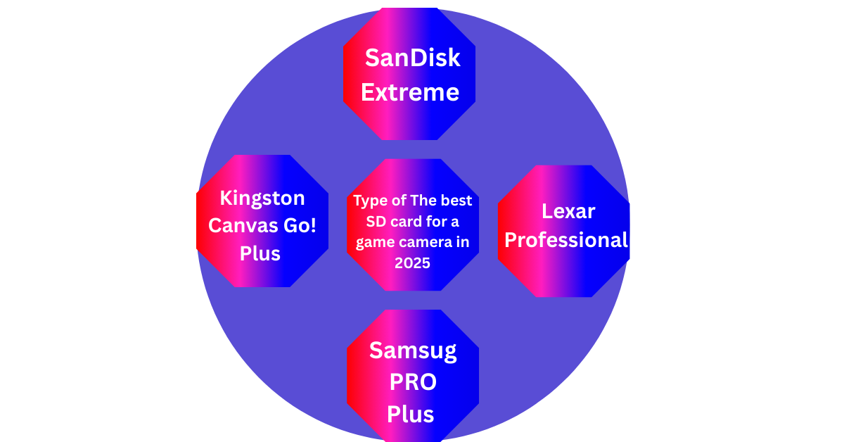 The best SD card for a game camera in 2025