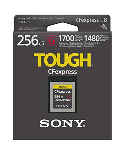 Best Memory Card for Sony Camera: Top Picks for Speed, Reliability, and Performance