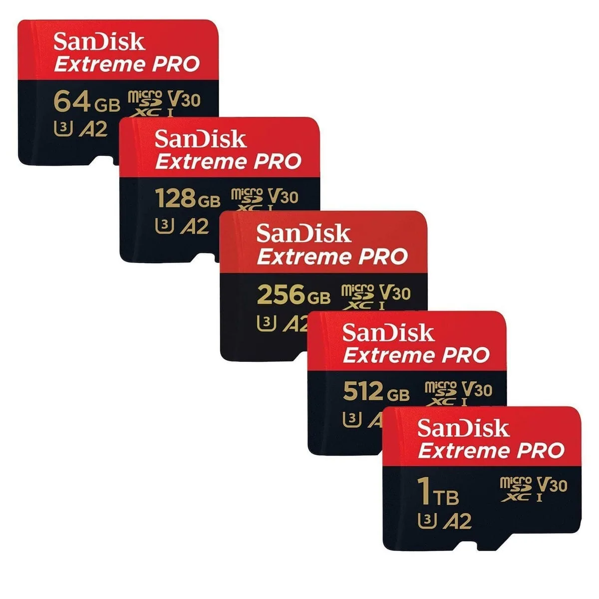 Best Memory Card for Sony Camera: Top Picks for Speed, Reliability, and Performance