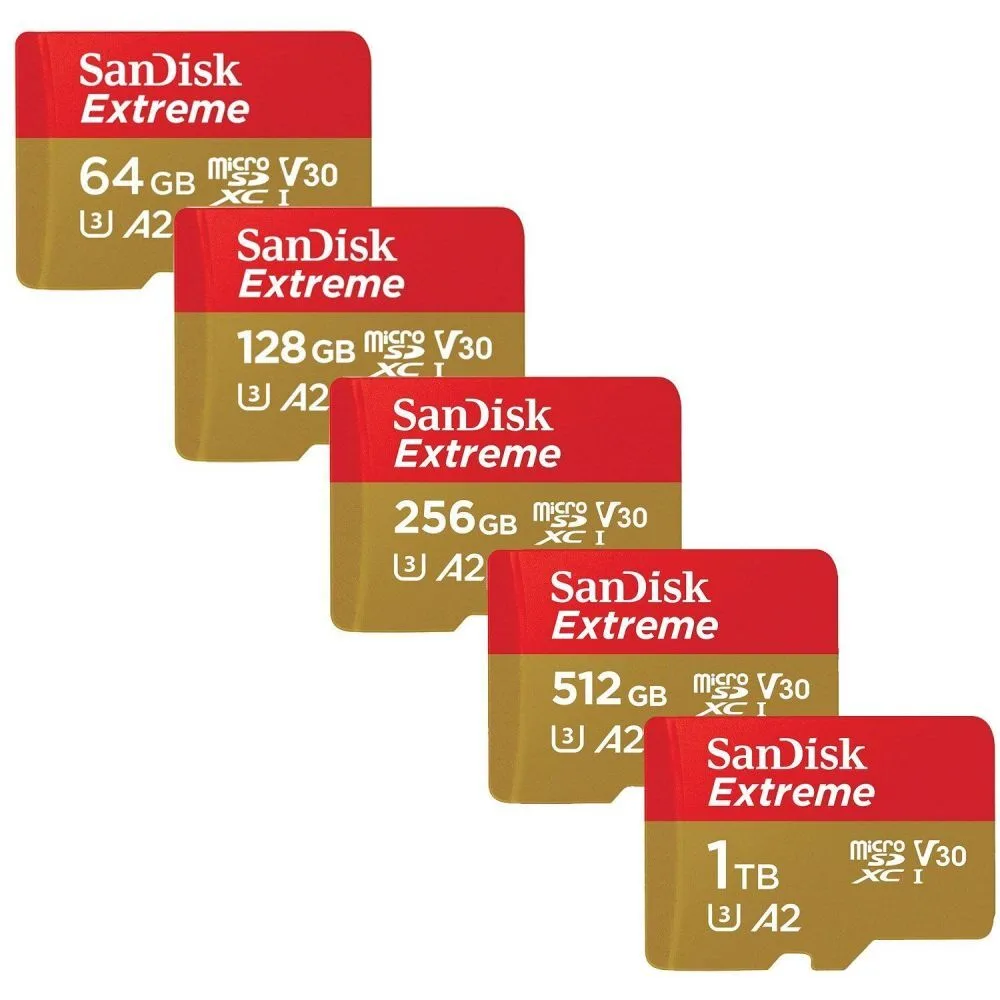 Best Memory Card for Sony Camera: Top Picks for Speed, Reliability, and Performance